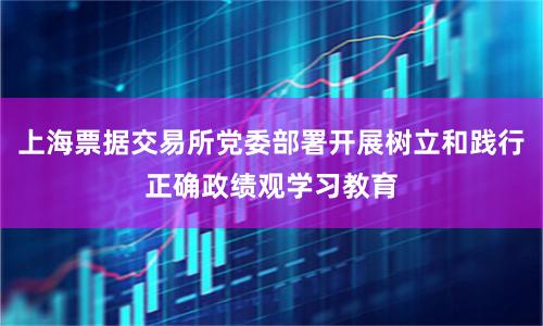 上海票据交易所党委部署开展树立和践行正确政绩观学习教育